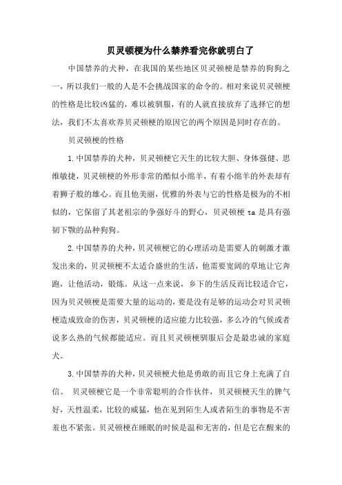 贝灵顿梗为什么禁养看完你就明白了