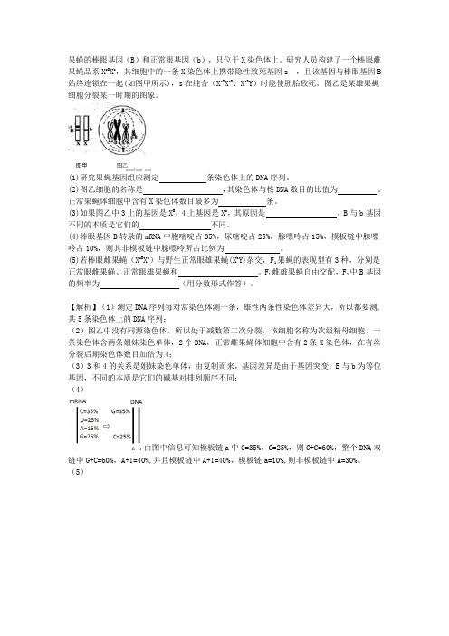 高中生物经典试题解析38