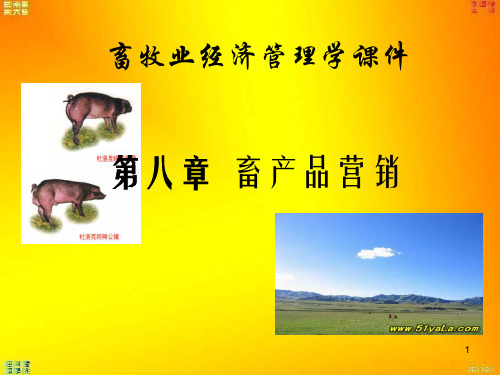 畜产品营销培训课程(PPT 164页)