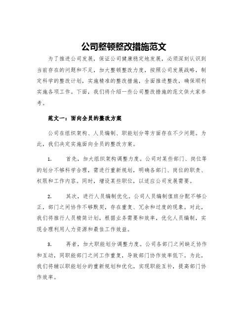 公司整顿整改措施范文