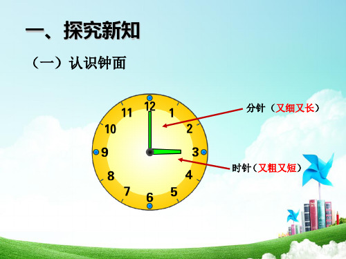 一年级下册数学PPT-《信息窗(认识几时、半时、大约几时)》青岛版(12张)ppt精品课件