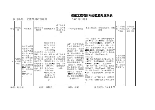 在建工程项目动态监控月报报表样表2015.5