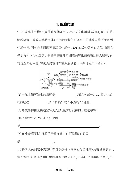 高考生物学二轮总复习课后习题 大题分析与表达练 1.细胞代谢