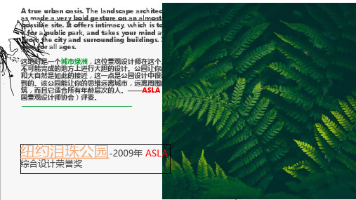 纽约泪珠公园案例分析 PPT