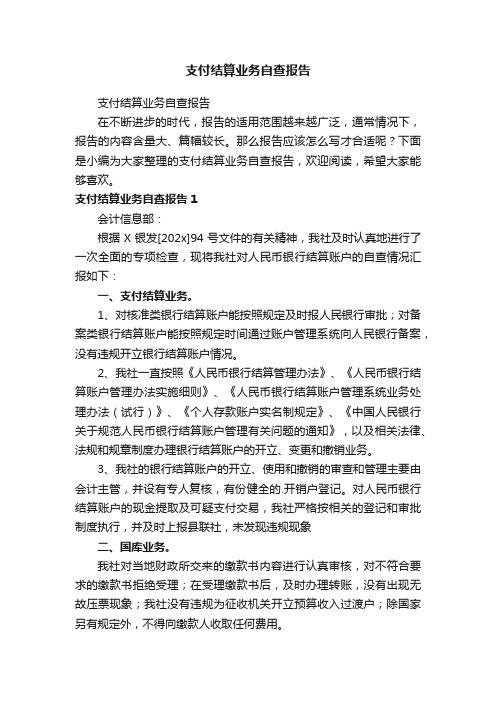 支付结算业务自查报告