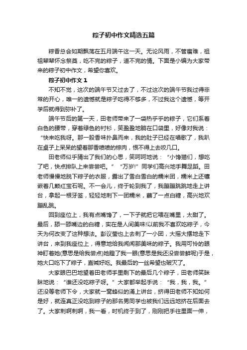 粽子初中作文精选五篇