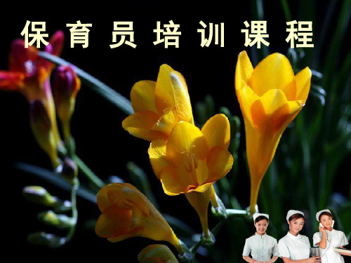 儿童少年卫生学-培训课件(课件稿)