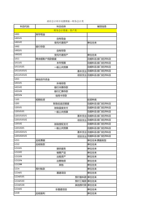 2019年新会计制度—政府会计科目设置模板(财务会计类)