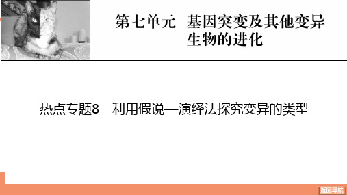 热点专题8利用假说—演绎法探究变异的类型-2025年生物学高考总复习课件