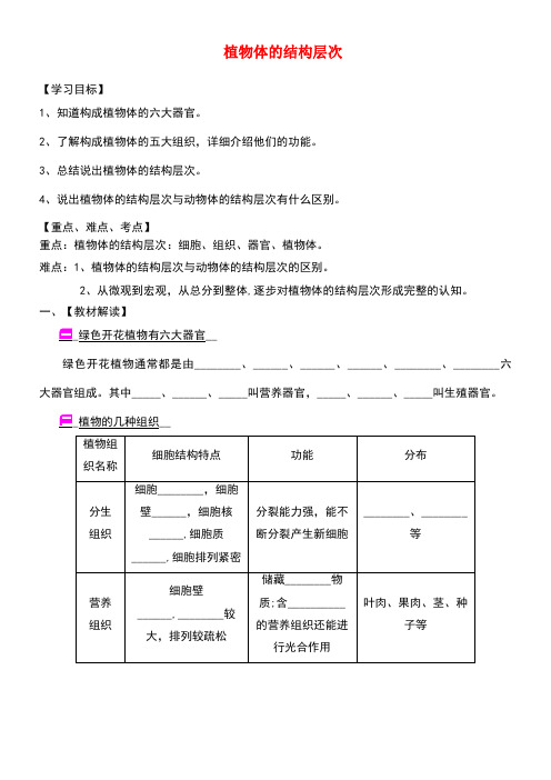 七年级生物上册2.2.3植物体的结构层次学案(无答案)新人教版(new)