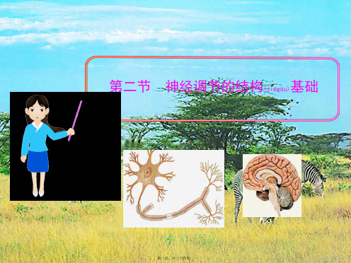 七年级生物下册第五章第二节神经调节的结构基础