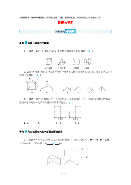 2019年中考数学一轮复习 第七章 图形与变换 第24讲 投影与视图