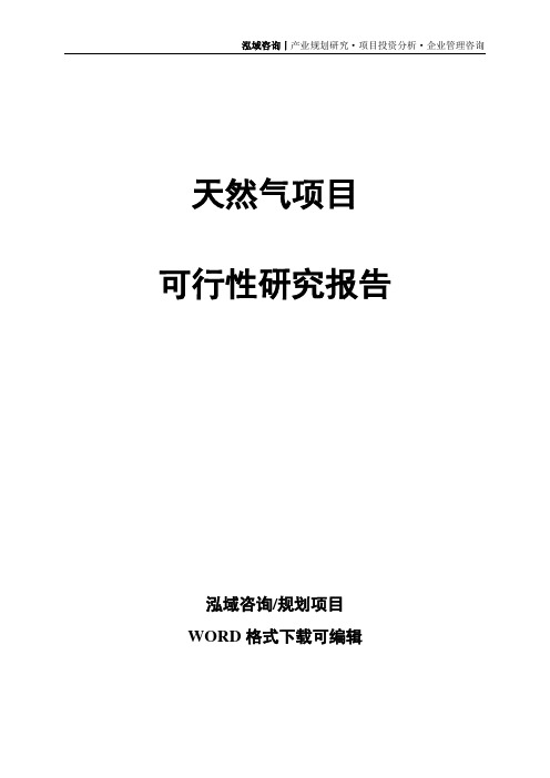 天然气项目可行性研究报告