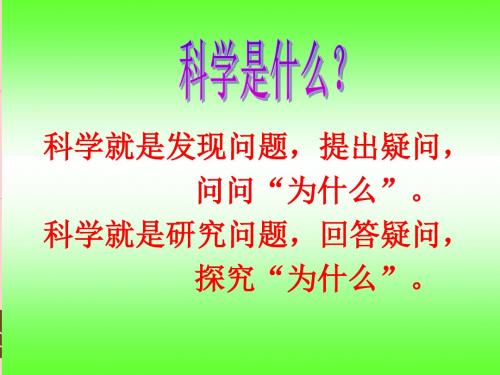 教科版六年级上册科学《生物多样性的意义》精品课件