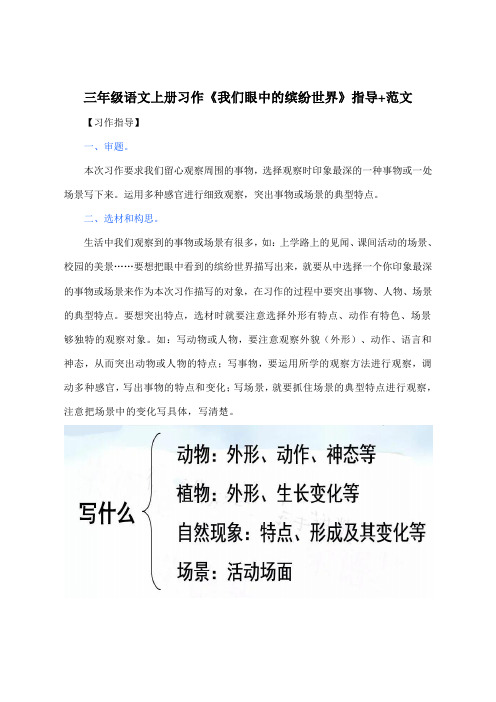 三年级语文上册习作《我们眼中的缤纷世界》指导+范文