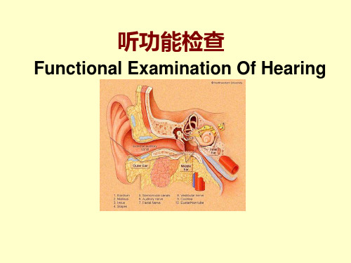 医学课件：听功能检查