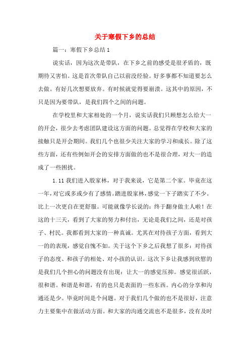 关于寒假下乡的总结