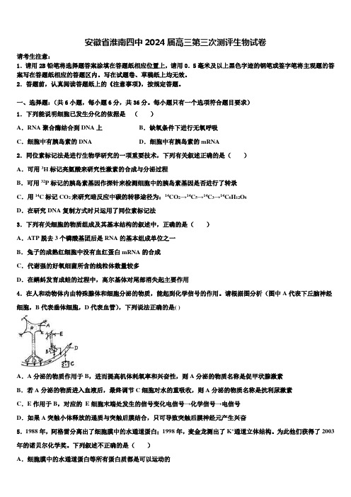 安徽省淮南四中2024届高三第三次测评生物试卷含解析