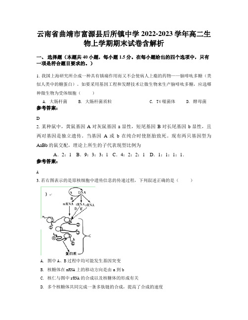 云南省曲靖市富源县后所镇中学2022-2023学年高二生物上学期期末试卷含解析