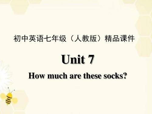 Unit 7 How much are these socks第四课时