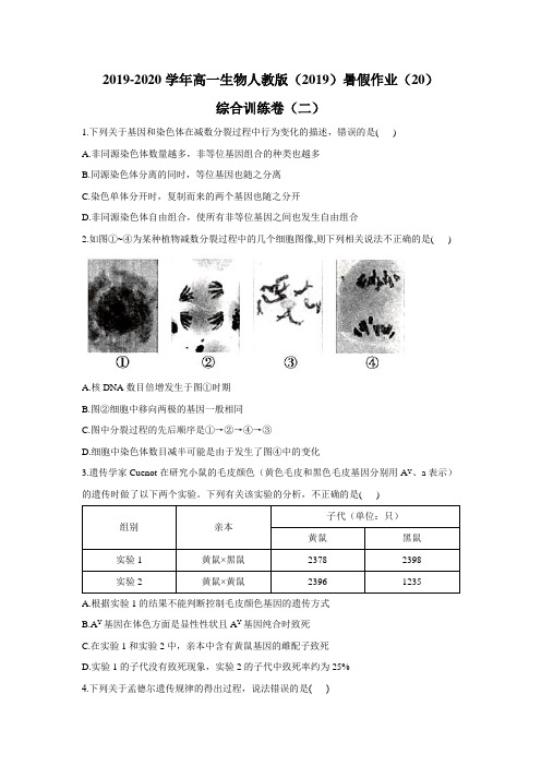 2019-2020学年高一生物人教版暑假作业(20)综合训练卷(二)