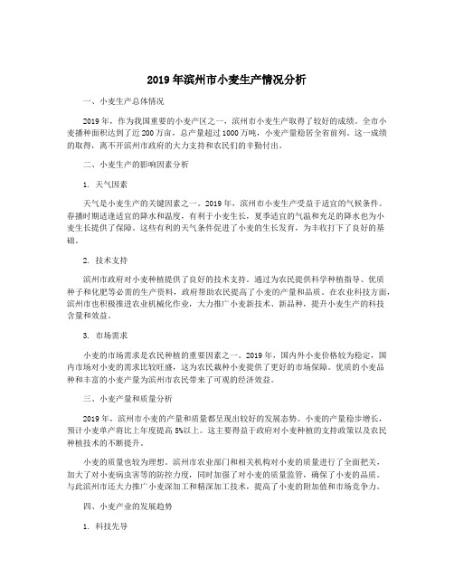 2019年滨州市小麦生产情况分析