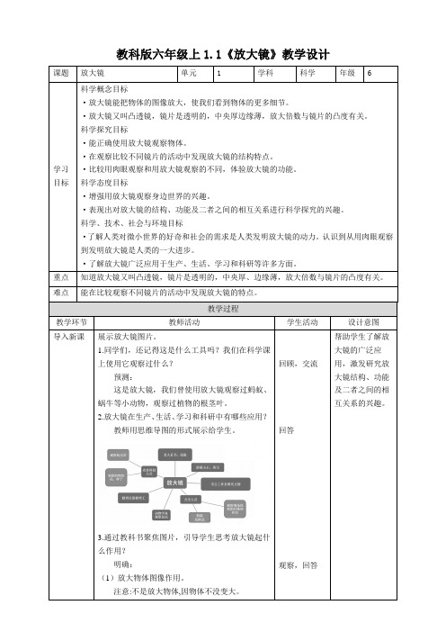 最新教科版小学科学六年级上册《放大镜》教案》