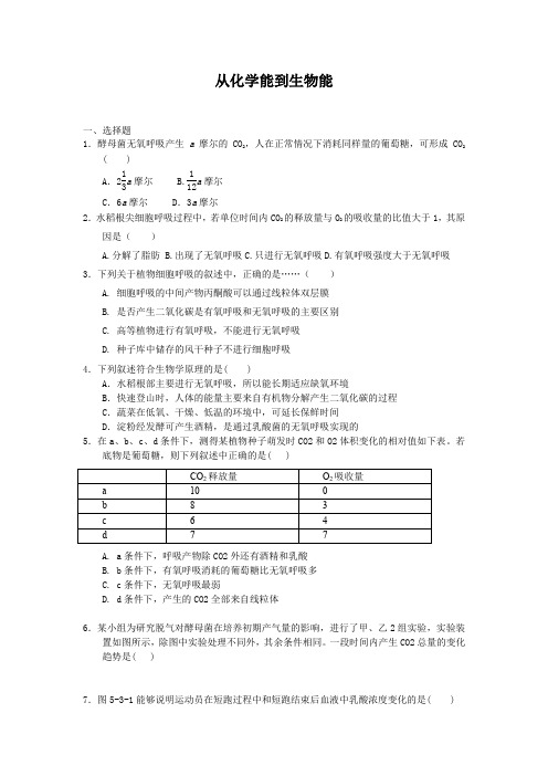 3.2.4从化学能到生物能每课一练23(中图版必修1)