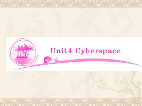 【优化指导】(新课标)高考英语 教材总复习 Unit4 Cyberspace课件 北师大版