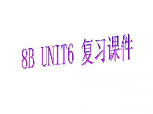 牛津译林版8B Unit6 Revision课件(共63张PPT)