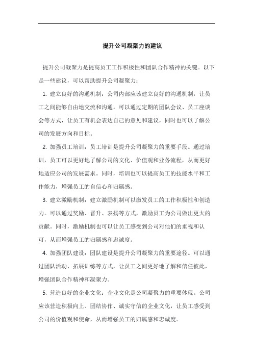 提升公司凝聚力的建议