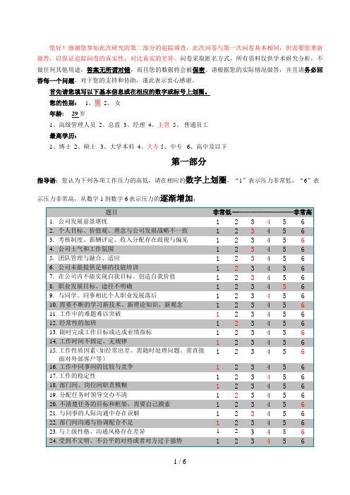 工作压力的学术分析研究问卷(追踪问卷)