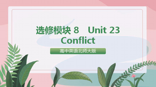 高中英语北师大版选修八《unit 23 conflict》课件