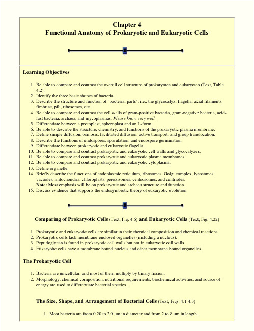 chapter_4_functional_anatomy_of_prokaryotic_and_eukaryotic_cells