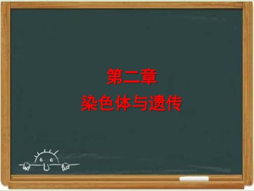 浙科版高中生物必修二《染色体与遗传》章末复习课件-新版