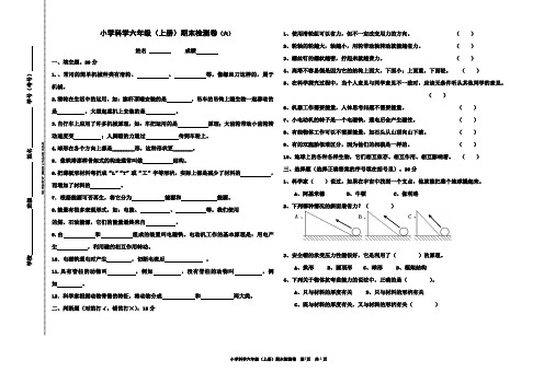 科学六上期末检测卷(六)