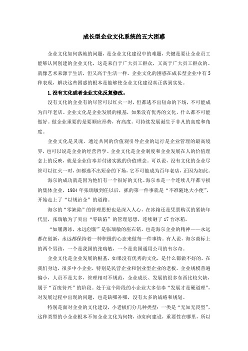 成长型企业文化五大困惑