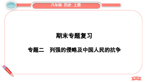 人教版初中历史期末专题复习  专题2 列强的侵略及中国人民的抗争