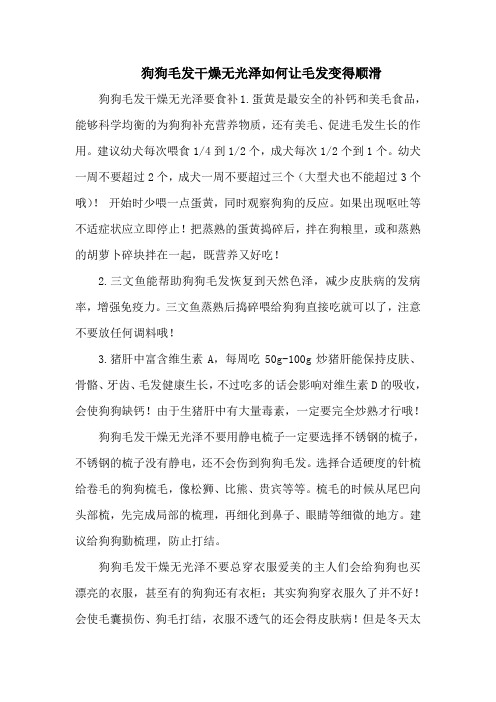 狗狗毛发干燥无光泽如何让毛发变得顺滑