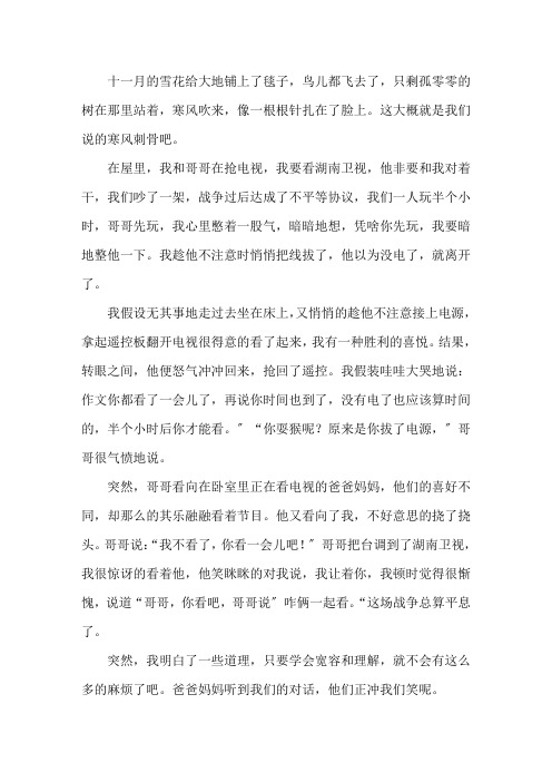中小学作文抢电视作文500字