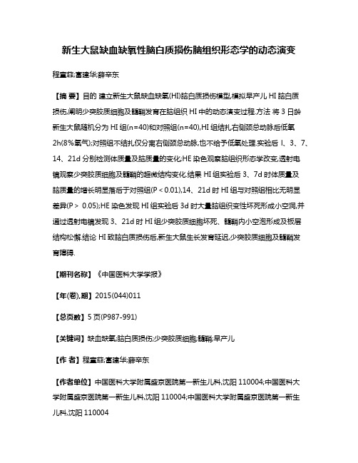 新生大鼠缺血缺氧性脑白质损伤脑组织形态学的动态演变