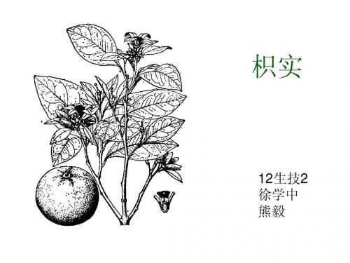 资源植物学--枳实.学中、熊毅