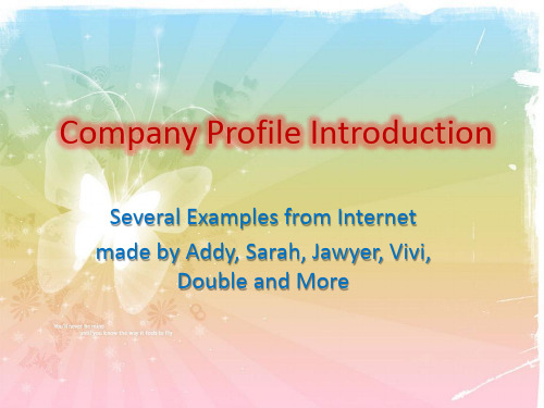 Company Profile Introduction