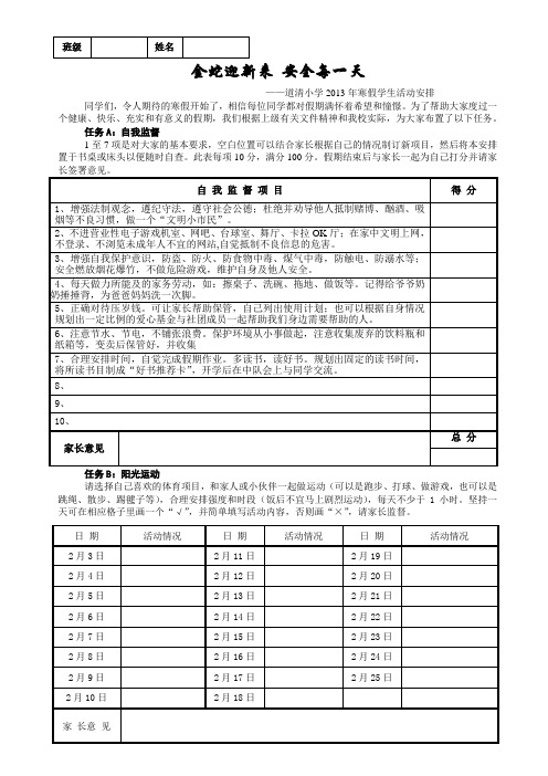 2013年寒假活动计划