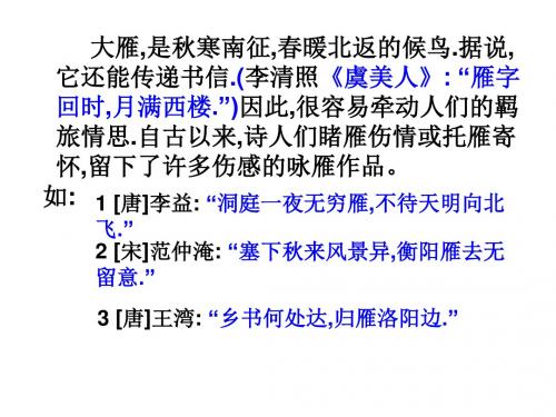 《大雁归来》课件(共27张PPT)