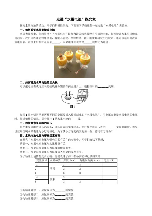 水果电池 初中物理