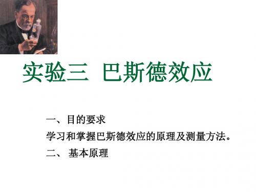实验三巴斯德效应