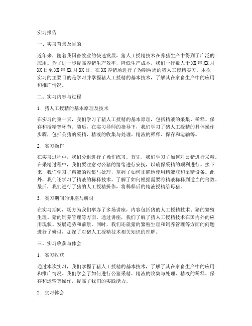 猪人工授精实习报告