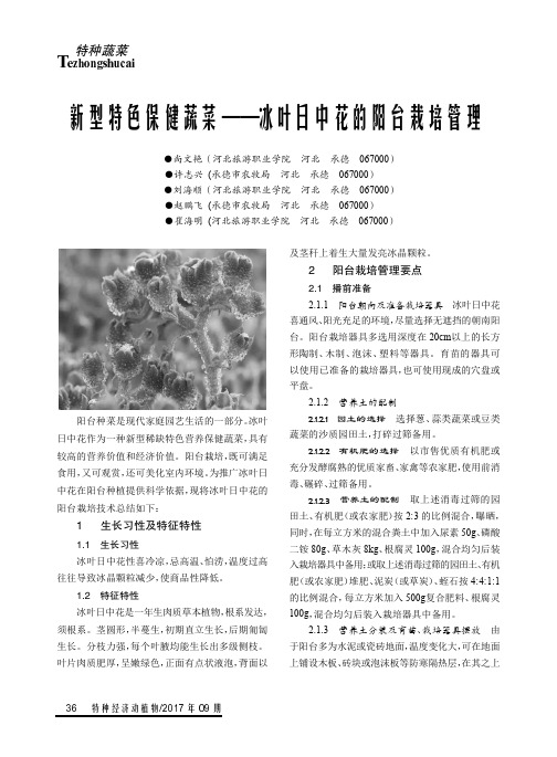 新型特色保健蔬菜——冰叶日中花的阳台栽培管理