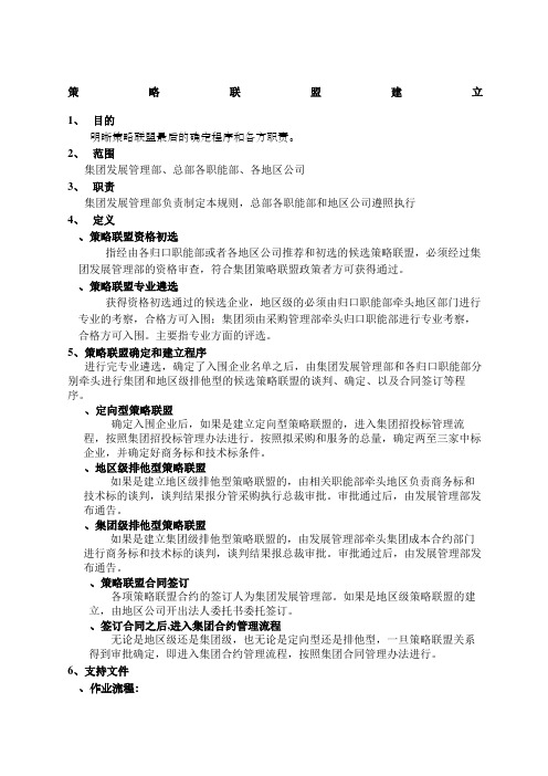 策略规划联盟建立